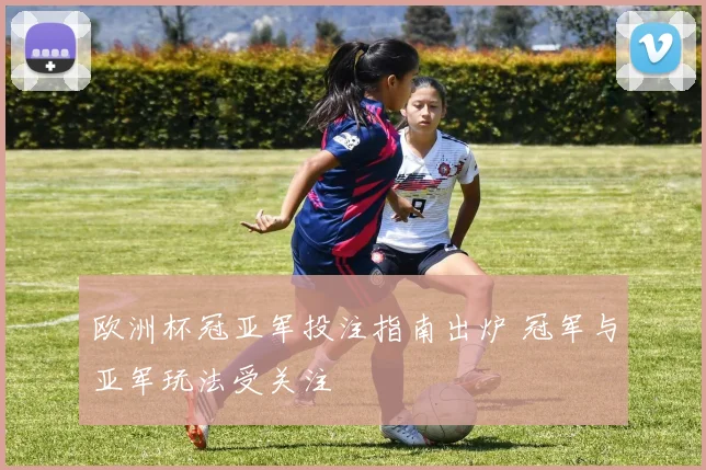 欧洲杯冠亚军投注指南出炉 冠军与亚军玩法受关注
