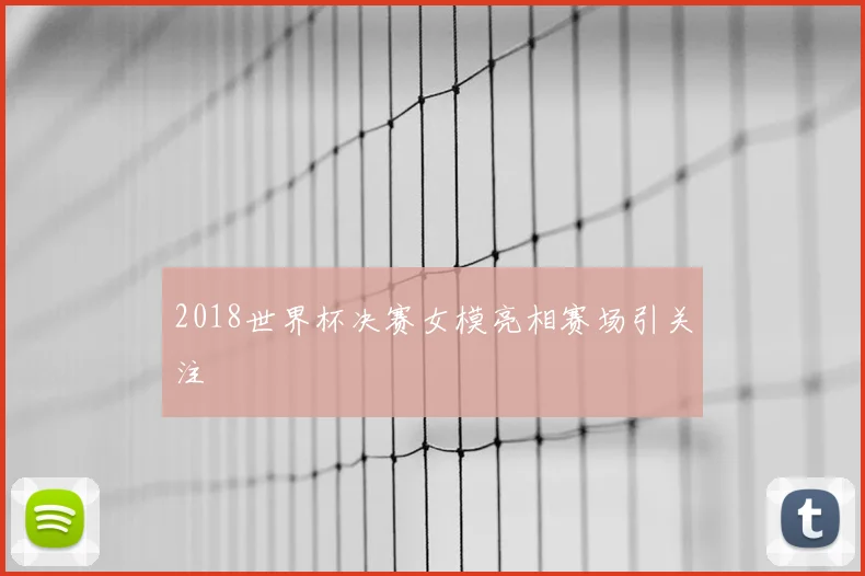2018世界杯决赛女模亮相赛场引关注