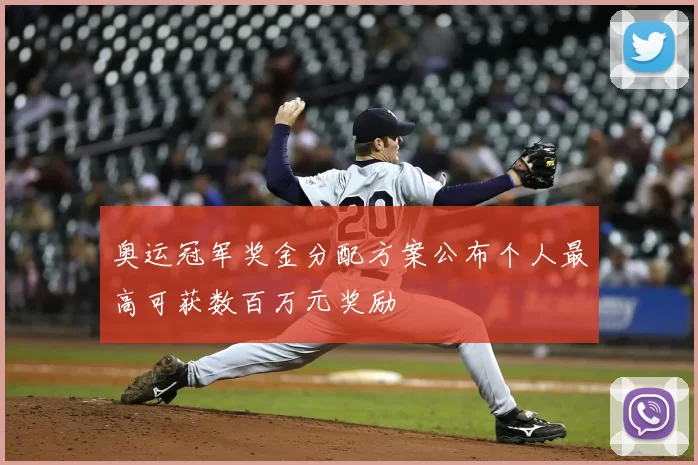 奥运冠军奖金分配方案公布个人最高可获数百万元奖励