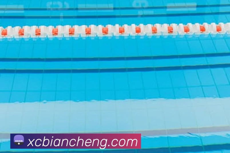 华体会体育(中国)HTH·官方网站服务体系